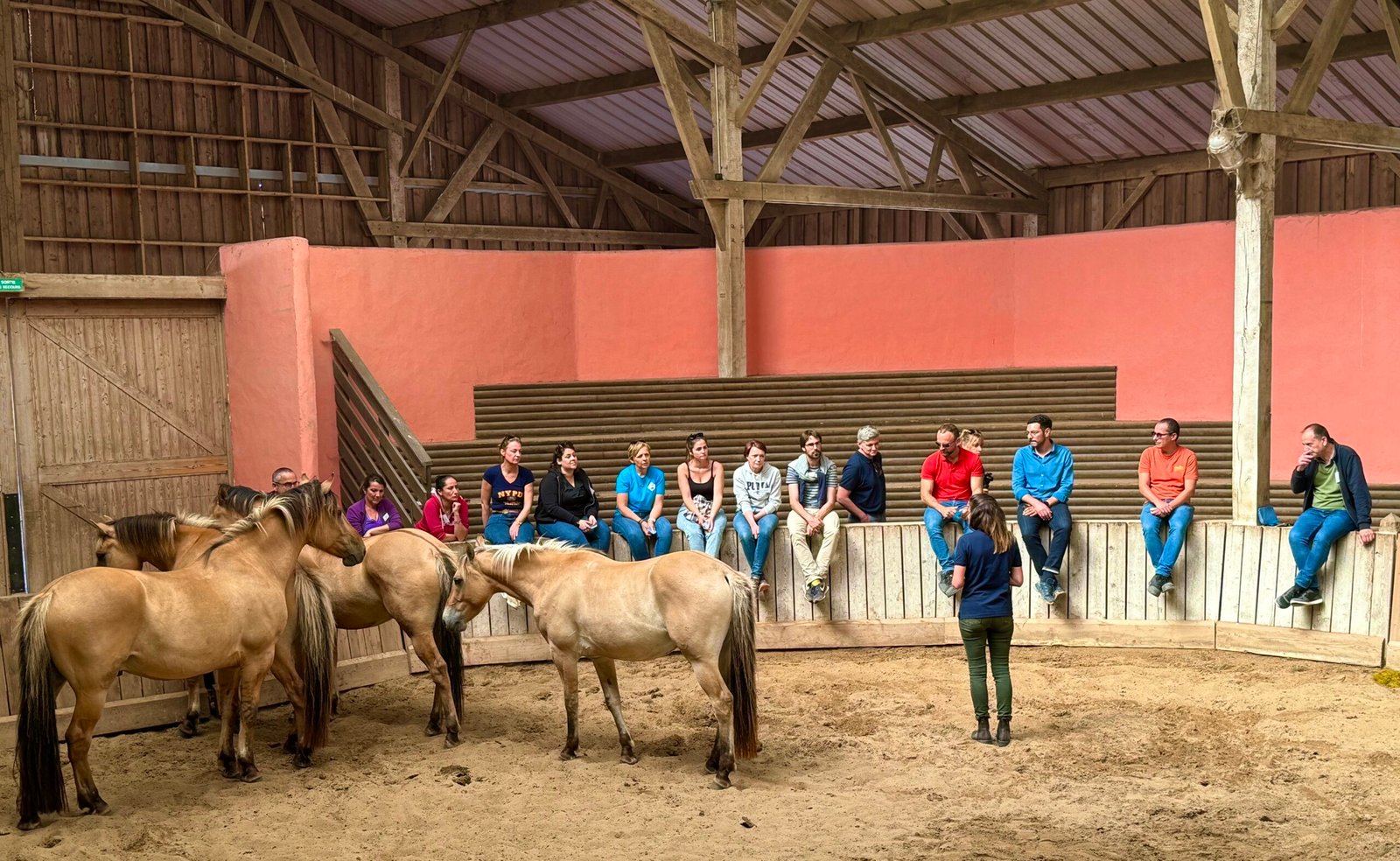 Séminaire d'équicoaching